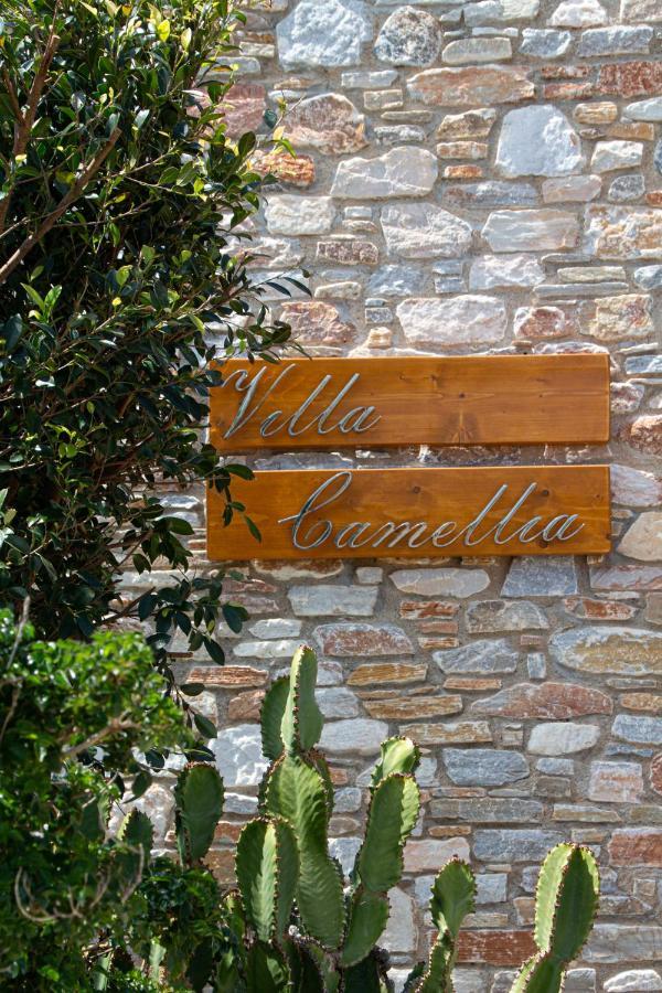 Villa Camellia Liaropá Exterior photo